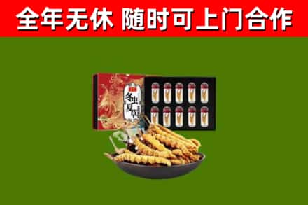荔湾回收冬虫夏草价格